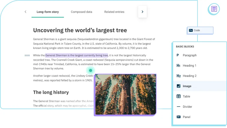 Canvas editor visual illustration