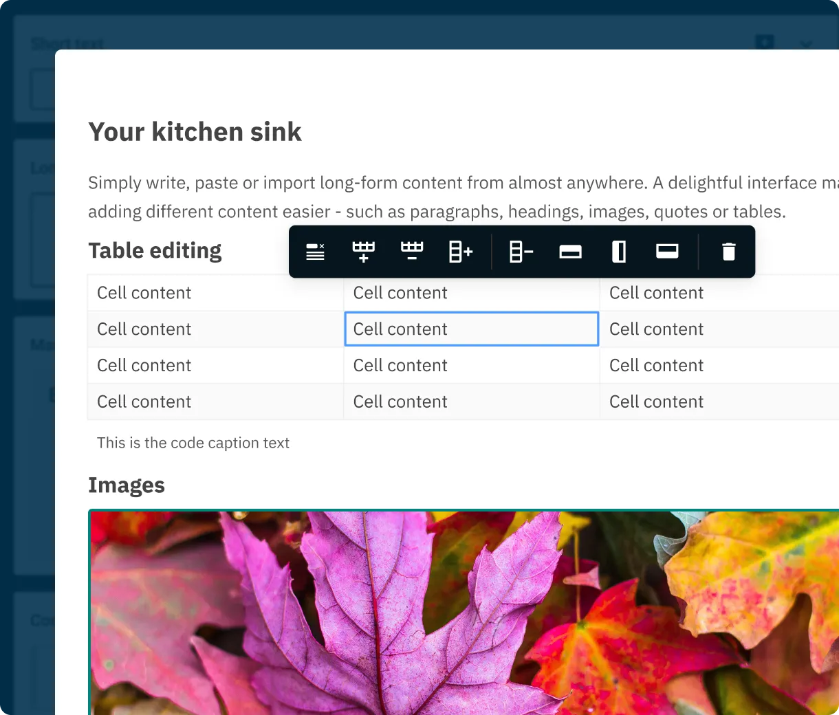 A table block in the Contensis Canvas editor.
