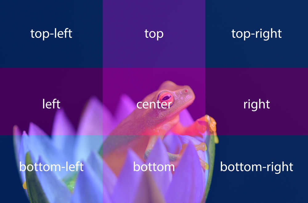 Example crop area for exact crop