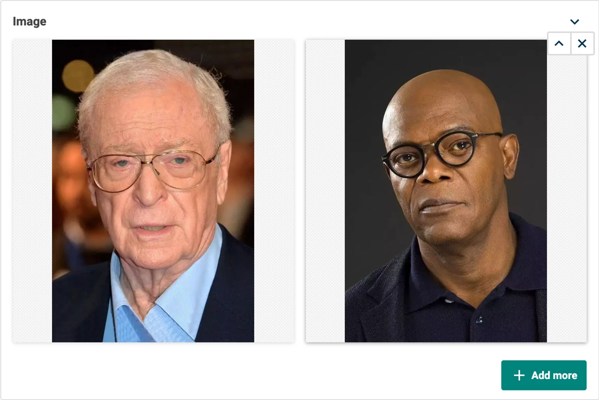 A multi image editor displaying a photo of Michael Caine and Samuel L Jackson